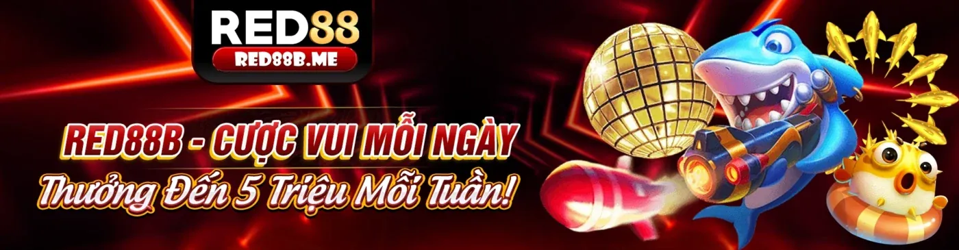 Những lưu ý quan trọng khi đăng ký S88 App